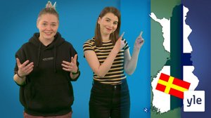 Finland har två officiella språk / Suomessa on kaksi virallista kieltä: 02.12.2020 16.50