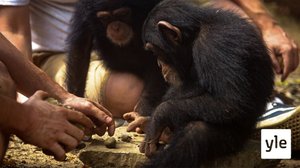 Paineet kasvavat: 07.12.2020 06.00