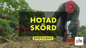 Rajat kiinni, sadon kustannuksella: 07.12.2020 00.01