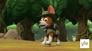 Pingviinejä viidakossa! / Pennut pelastavat rahtilaivan (S): 06.12.2020 06.00