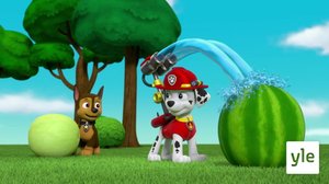 Pennut pelastavat melonijuhlan / Pennut pelastavat lehmän (S): 06.12.2020 06.00