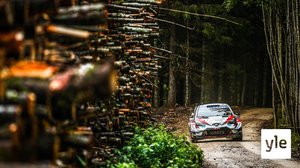 Sportnytt: 05.12.2020 19.48