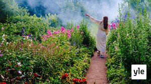 Sibeliuksen Kuusi: 08.12.2020 00.01