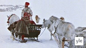 Arktinen raportti: Pohjoiseen, pohjoiseen: 08.12.2020 14.00