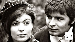 Kuuma kissa? (12): 14.12.2020 00.01