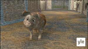 Possun pulma (S): 11.12.2020 10.00