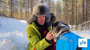 Koiravaljakolla itärajalle: 11.12.2020 00.01