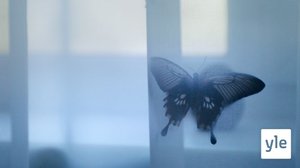 Yksi elämä (S): 15.12.2020 00.01