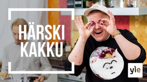 "ÄLÄ KATO MUA SILMIIN KUN VATKAAN MUNAA": 15.12.2020 00.01