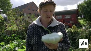 Tanskalainen maajussi: 15.12.2020 13.00