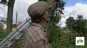 Tanskalainen maajussi: 14.12.2020 13.15