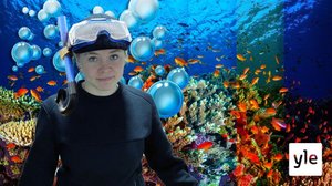 Forskare planterar nya koraller i Stora barriärrevet: 15.12.2020 16.10