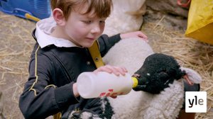 Maatilan oppeja: 22.12.2020 06.00