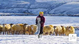 Talvi: 22.12.2020 06.00