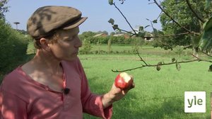 Tanskalainen maajussi: 21.12.2020 12.30