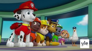 Vainu lainahöyhenissä / Pennut pelastavat pötkivän pormestarin (S): 21.12.2020 10.00