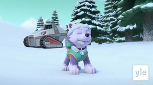 Pennut pelastavat lepakkoperheen / Pennut pelastavat mutahirviön (S): 21.12.2020 10.00