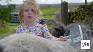 Koulun alku: 22.12.2020 06.00