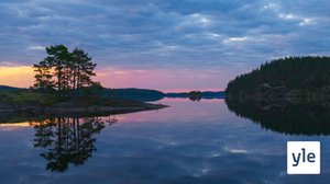 Luontosinfonia: 28.12.2020 00.01