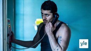 Omat koirat purivat (12): 31.12.2020 06.00