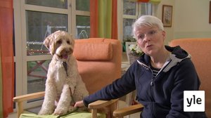 Kuntoutuskoira Cooper auttaa vanhusten hoidossa: 01.01.2021 00.01