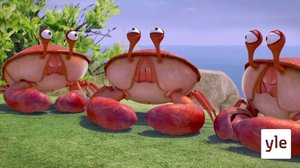 Vuoksi ja luode (S): 31.12.2020 10.00