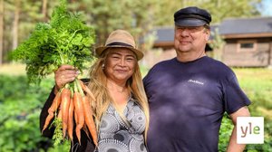 Saimaan Suuri Jänkäsalo: 03.01.2021 00.01