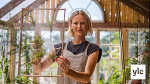 Beduiiniteltta ja riippuva puutarha: 03.01.2021 06.00