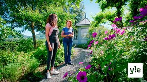 Minun puutarhani: 06.01.2021 00.01