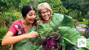 Minun puutarhani: 06.01.2021 00.01