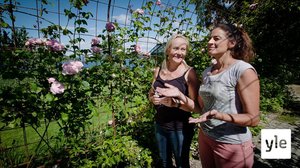 Minun puutarhani: 06.01.2021 00.01