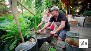 Minun puutarhani: 06.01.2021 00.01