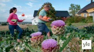 Minun puutarhani: 06.01.2021 00.01