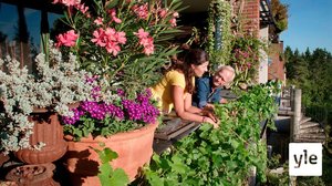 Minun puutarhani: 06.01.2021 00.01