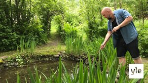 Minun puutarhani: 06.01.2021 00.01