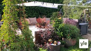 Minun puutarhani: 06.01.2021 00.01