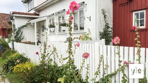 Minun puutarhani: 06.01.2021 00.01