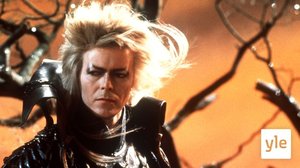 Labyrintti  (12): 02.01.2021 22.00