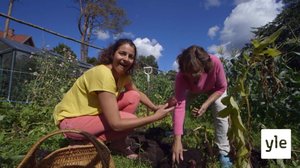 Minun puutarhani: 06.01.2021 00.01