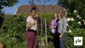 Minun puutarhani: 06.01.2021 00.01