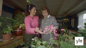 Minun puutarhani: 06.01.2021 00.01