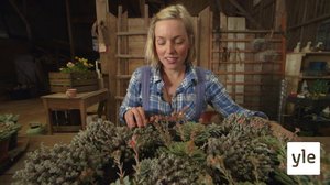 Minun puutarhani: 06.01.2021 00.01