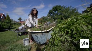 Minun puutarhani: 06.01.2021 00.01