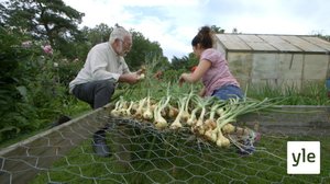 Minun puutarhani: 06.01.2021 00.01