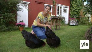 Minun puutarhani: 06.01.2021 00.01