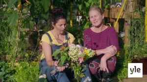 Minun puutarhani: 06.01.2021 00.01