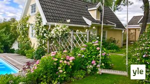 Minun puutarhani: 06.01.2021 00.01