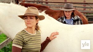 Varas (S): 12.01.2021 06.00