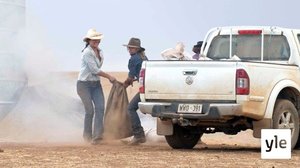 Karjareitin varrelta (7): 12.01.2021 06.00