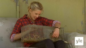 Nurinkurinen maailma (7): 12.01.2021 06.00